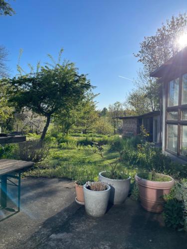 Zahrada ubytování Idyllisches Landhaus Taucha mit Gartenzugang