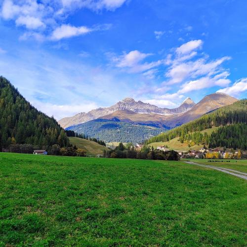a green field with mountains in the background at Mobilchalet Rona in Rona