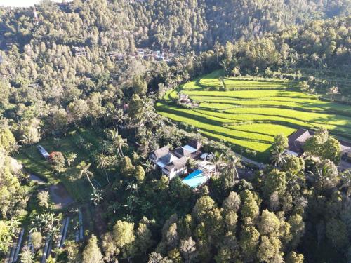 an aerial view of a house in the middle of a field at Munduk Nature Lodge in Munduk