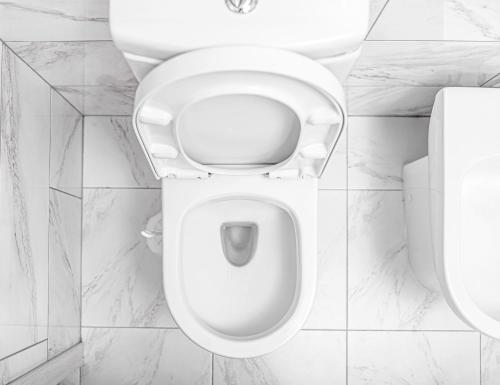 a bathroom with a toilet with the seat up at Blue Spring Hotel Wadduwa in Wadduwa