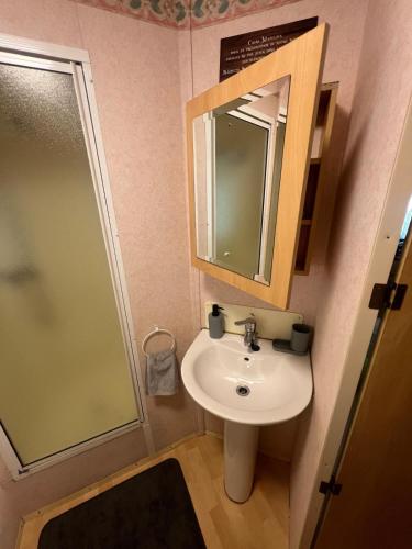 une salle de bain avec un lavabo, un miroir et une douche dans l'établissement Mobilhome de Gigi, au Grau-dʼAgde