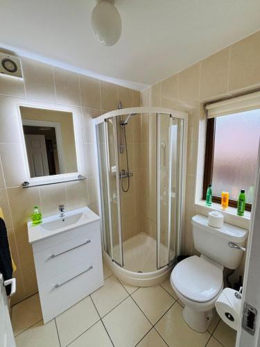 a bathroom with a shower and a toilet and a sink at HarbourView House Killaloes Newest Holiday Home in Killaloe