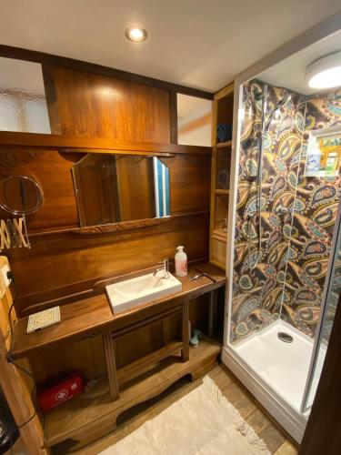 une salle de bain avec un lavabo et une douche dans l'établissement 3 Apts Moulin SAGE, à Treignac