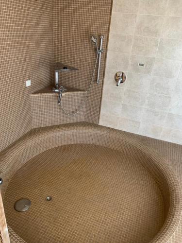 a shower in a bathroom with a circle in the floor at Nordes in Ragaciems