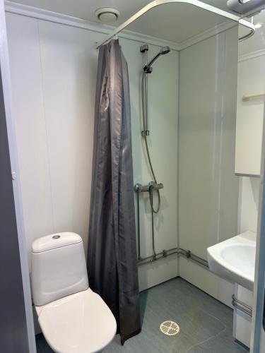 a bathroom with a toilet and a shower at Oslo Airport Budget Apartments in Gardermoen