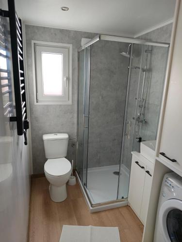a bathroom with a toilet and a shower at Domek 2 Wdechy in Wdzydze Kiszewskie