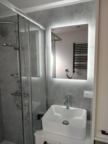 a bathroom with a sink and a shower with a mirror at Domek 2 Wdechy in Wdzydze Kiszewskie