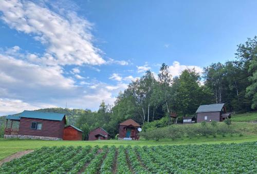 a farm with houses and a field of crops at Kolibe Ćorić in Mojkovac