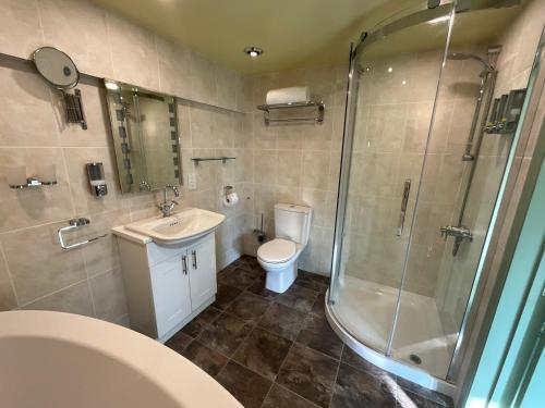 a bathroom with a toilet and a shower and a sink at Pheasant Suites in Colchester
