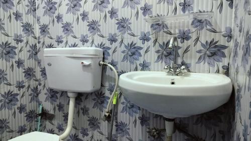 a bathroom with a toilet and a sink at Bhagsunag Nizu Palace in McLeod Ganj