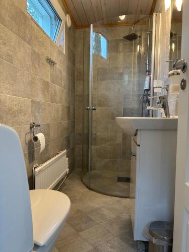 a bathroom with a shower and a sink and a toilet at Sjöstuga, lake view cottage in Spersboda