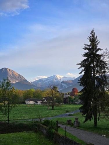 a tree in a field with mountains in the background at La Casa Mora Grande in Asson