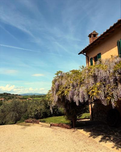 a flowering tree in front of a house at Casolare Marconi in Panicale