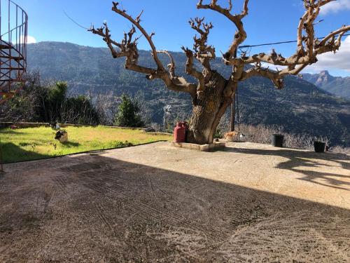 a red fire hydrant sitting next to a tree at Helmos View - Relaxation & Nature in Valimí