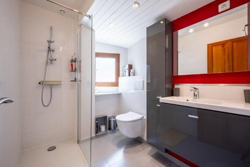 ein Badezimmer mit Toilette, Waschbecken und Dusche in der Unterkunft La Maison Marie Andre in Albens
