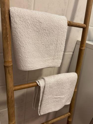 two towels on a wooden towel rack in a bathroom at Lorena app in Umag