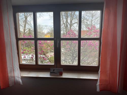 a window with a view of a flowering tree at Entspannungsoase Haus Iris in Kirchham