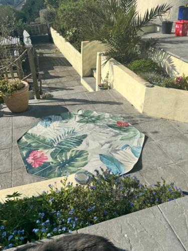 a patio with a painting of flowers on the ground at West Winds, Fore Street, Polruan by Fowey in Polruan