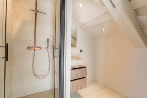 a bathroom with a shower and a glass door at Appartement moderne et chaleureux, Ecully in Écully