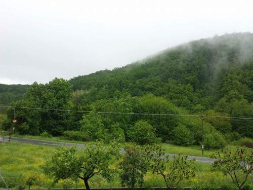 アパートメントの近くで見られる自然の景観