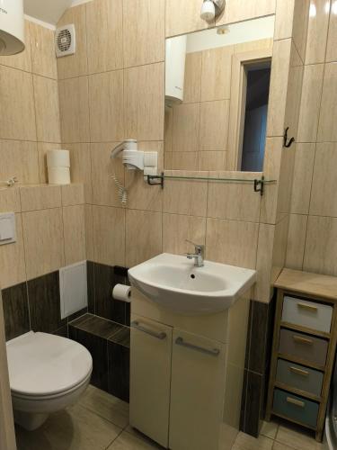 a bathroom with a sink and a toilet and a mirror at Apartamenty Turkusowe in Rowy