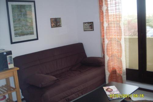 un salon avec un canapé marron et une fenêtre dans l'établissement Appartement 4 personnes Seignosse Océan, à Seignosse