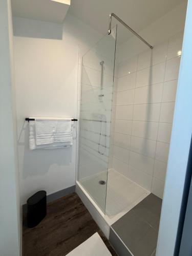 une salle de bain avec une douche avec une porte vitrée dans l'établissement Studio de l horloge, à Lyon