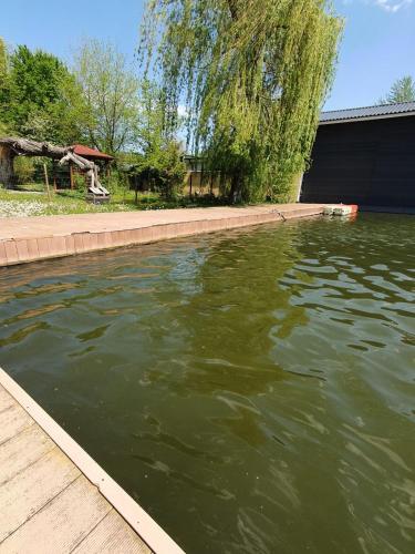 a pool of murky green water with a building and trees at Lakehouse Izvorani in Izvorani