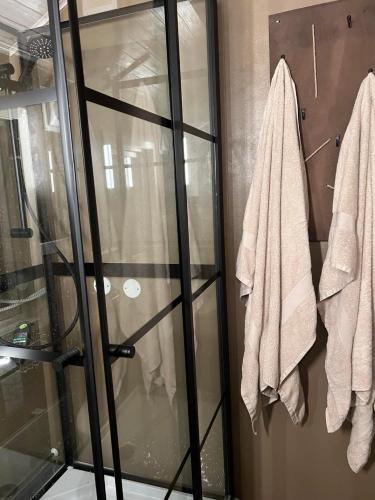 a glass shower door with towels hanging on it at Sandskogen-Ystad in Ystad