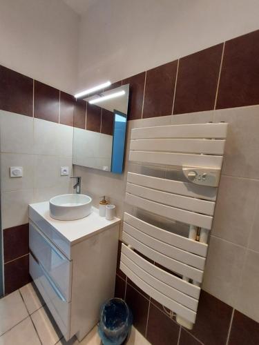 une salle de bain avec un lavabo et un miroir dans l'établissement Studio Narbonne Centre, à Narbonne