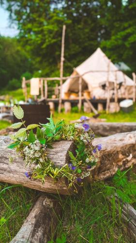 a planter with flowers on top of a log at Mereääre Glamping ja Rannamaja in Liimala