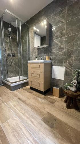 une salle de bain avec une douche, un lavabo et une vanité dans l'établissement Paco Homestay, à Saint-Germain-sur-Morin