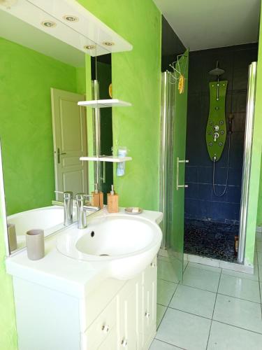 une salle de bain verte avec un lavabo et une douche dans l'établissement Country side house, 5 beds, à Caudrot