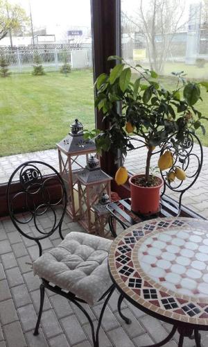 Zahrada ubytování Leo Hostel