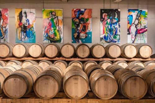 a row of wine barrels in a cellar at Peaceful Stay Among the Vines in Vipolže