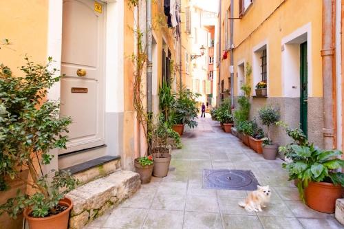 #5 Staywizus - Eagle Nest 5mins walk of the Sea AC Wifi Old town