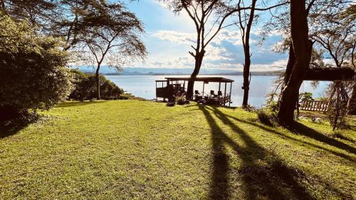 a park with a gazebo next to the water at Elsamere Lodge Naivasha in Naivasha