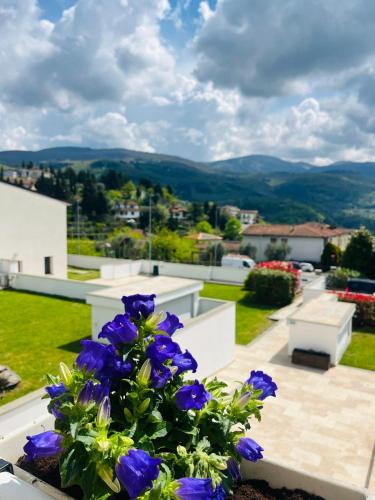 a bunch of purple flowers sitting on a balcony at The Florence Hills Resort & Wellness in Pelago