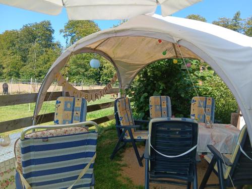 a tent with chairs and a table in the grass at Sonnenscheinhof Alpakas, Alpaka Hütte in Lasbek