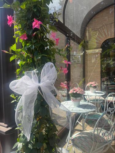 a white bow on a plant with pink flowers at EURO HOUSE INN airport in Fiumicino