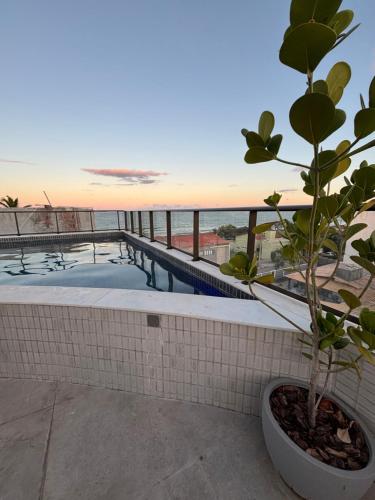 a plant in a pot next to a swimming pool at Ora Beach 108 Porto de Galinhas in Porto De Galinhas