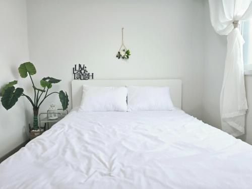 a white bed in a white bedroom with a plant at 머물다 울산 울산공항 5분 태화강역10분 울산 병영성 in Ulsan