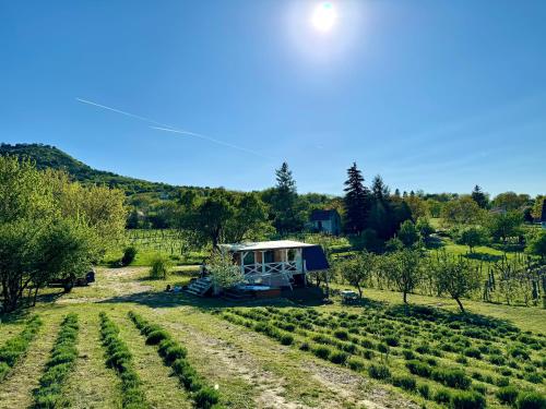 a farm with a tent in the middle of a field at Bohemian ECO lodge in Kisapáti