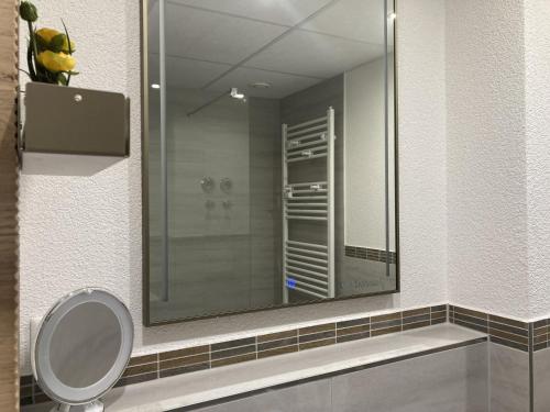 a bathroom with a mirror and a toilet at Berolina 125 - Sonnenseite in Dahme