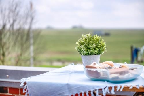 a table with a plate of food and a vase with a plant at Wohnung Hallighof in Honkenswarft