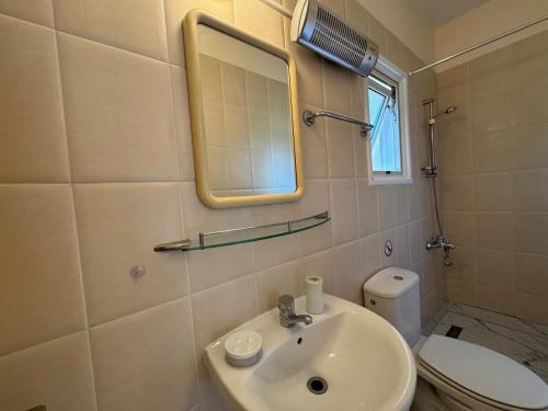 a bathroom with a sink and a mirror and a toilet at villa Maria in Neo Chorio