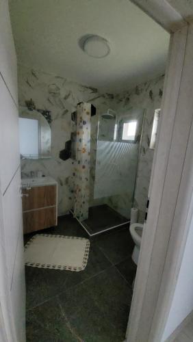 a bathroom with a sink and a toilet at Casa Georgia in Tîrgu Ocna
