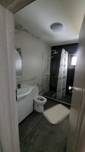 a bathroom with a white toilet and a sink at Casa Georgia in Tîrgu Ocna