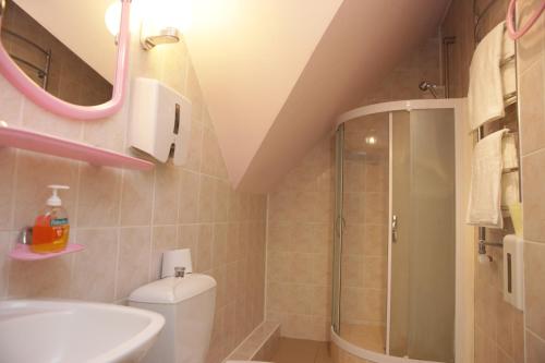 a bathroom with a shower and a toilet and a sink at Guest House Linas in Alytus