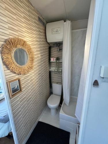 une petite salle de bain avec toilettes et miroir dans l'établissement Petit cocoon face au Château de Caen, à Caen